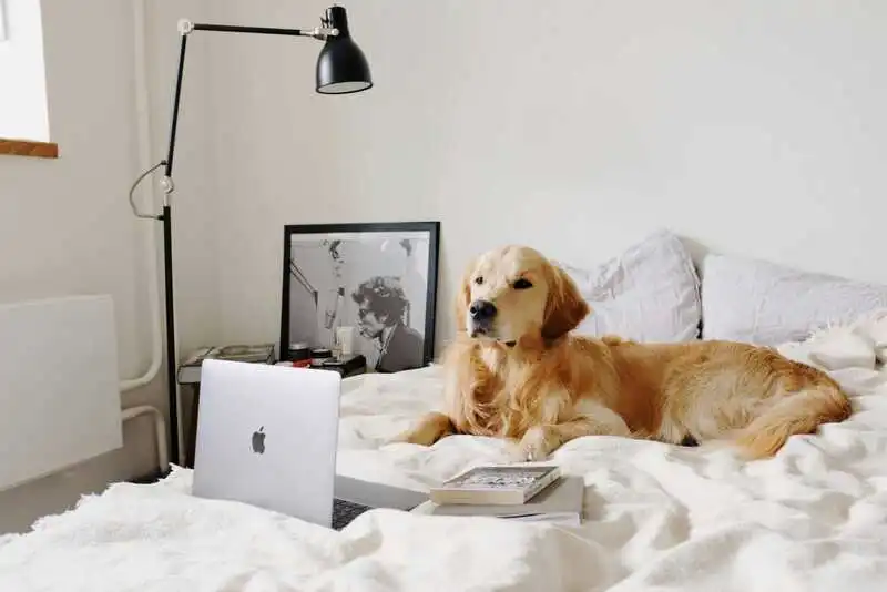 Niewłaściwe użytkowanie laptopa